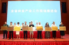 绿之韵集团被评为“湖南省林业产业化龙头企业”